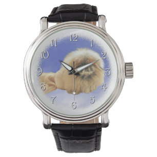 Pekingese on Blue Watch
