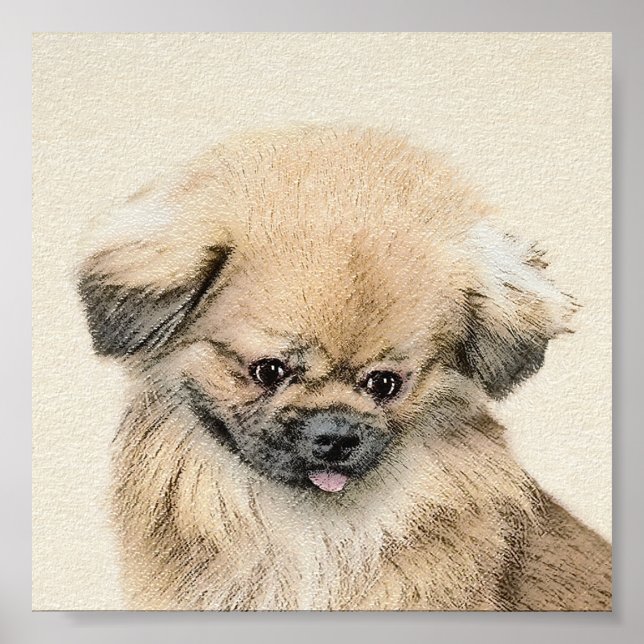 Pekingese Painting - Cute Original Dog Art Poster (Front)