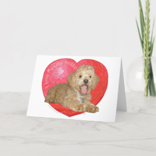 Pekingese / Poodle Mix Valentine's Day Holiday Card