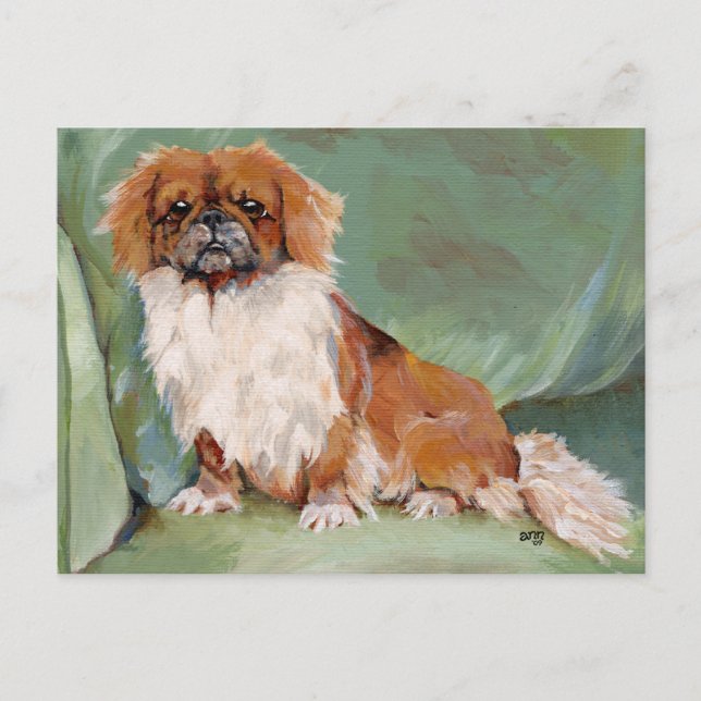 Pekingese  postcard (Front)