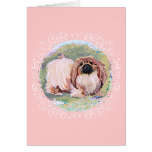 Pekingese Pretty in Pink