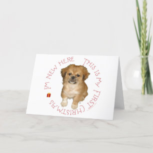 Pekingese Pup First Christmas Holiday Card