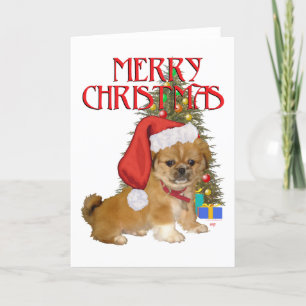 Pekingese Pup First Christmas Holiday Card