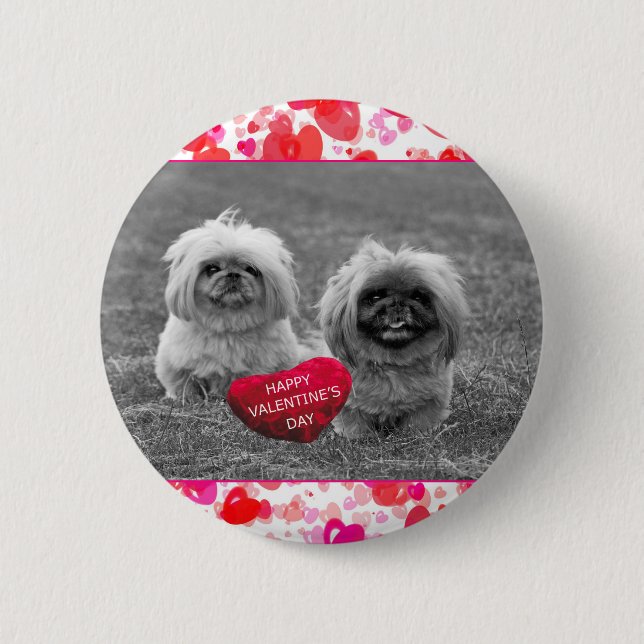 Pekingese Puppies wishing Happy Valentine's Day 6 Cm Round Badge (Front)
