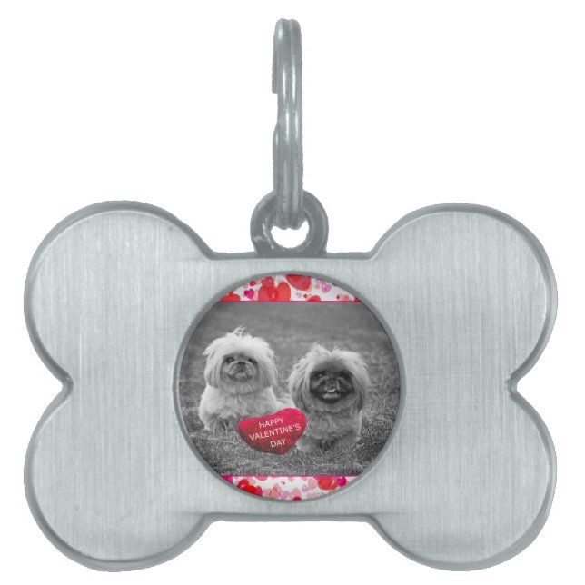 Pekingese Puppies wishing Happy Valentine's Day Pet Tag (Front)