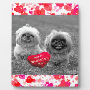 Pekingese Puppies wishing Happy Valentine's Day Plaque