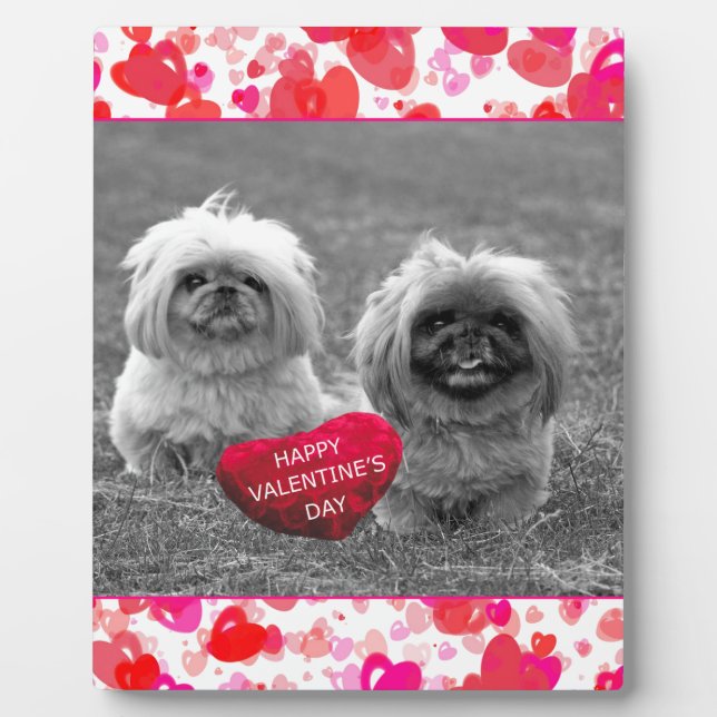 Pekingese Puppies wishing Happy Valentine's Day Plaque (Front)
