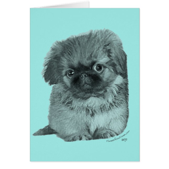 Pekingese Puppy (Front)