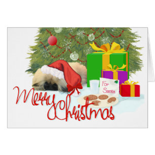 Pekingese Puppy 1st Christmas