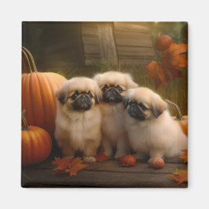Pekingese Puppy Autumn Delight Pumpkin Magnet