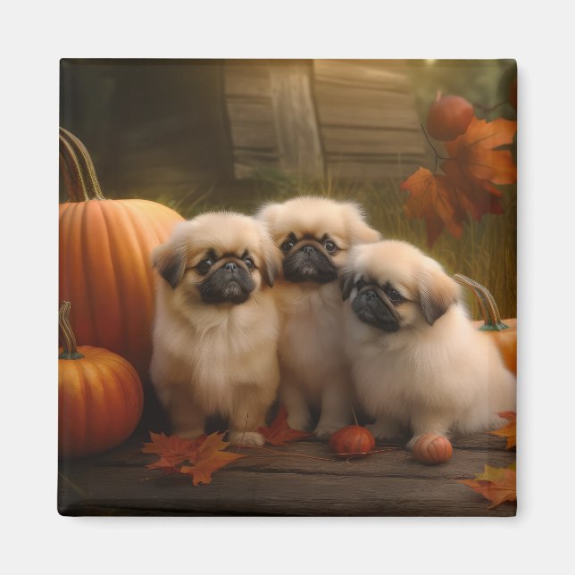 Pekingese Puppy Autumn Delight Pumpkin  Magnet (Front)