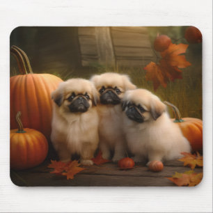 Pekingese Puppy Autumn Delight Pumpkin  Mouse Mat