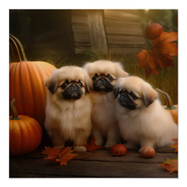 Pekingese Puppy Autumn Delight Pumpkin  Poster (Front)