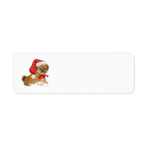 Pekingese Puppy Christmas