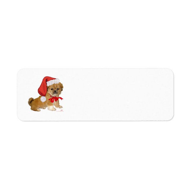 Pekingese Puppy Christmas (Front)