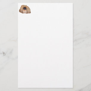 Pekingese Queen