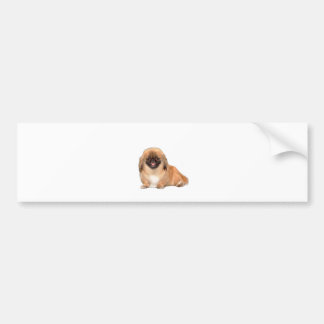 Pekingese (red , black mask #1) bumper sticker