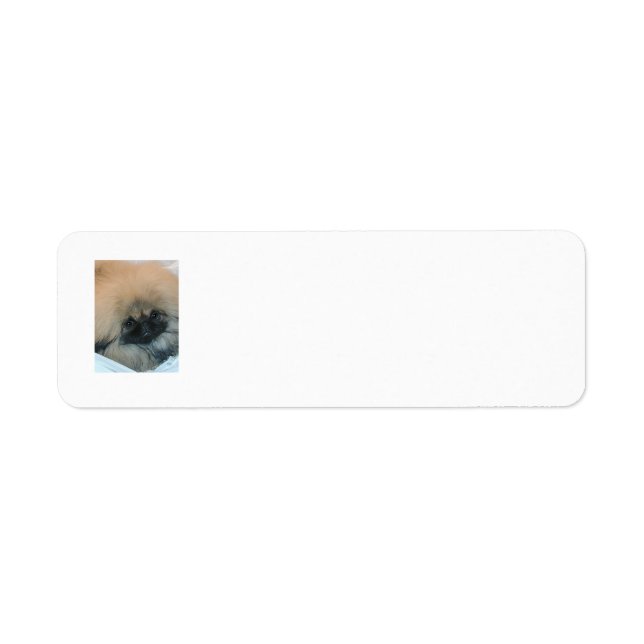 Pekingese Return Address Labels (Front)