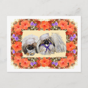 Pekingese Sailors Postcard