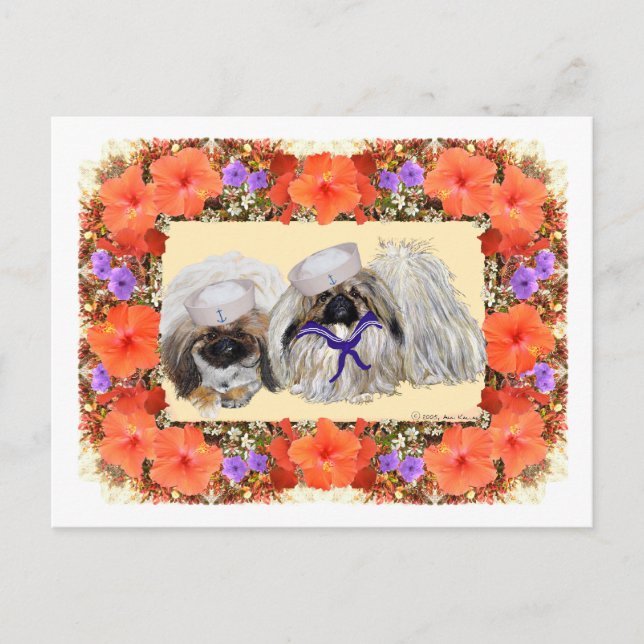 Pekingese Sailors Postcard (Front)