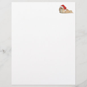 Pekingese Santa Claus