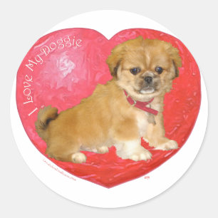 Pekingese / Shih Tzu Mix Valentine's Day Classic Round Sticker
