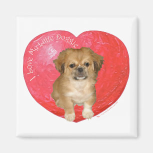 Pekingese / Shih Tzu Valentine's Day Magnet