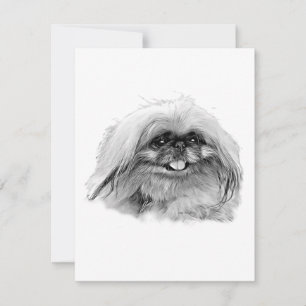 Pekingese Stationery - blank card "JenaSota"