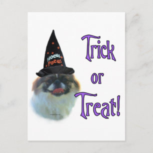 Pekingese Trick Postcard