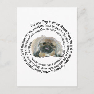 Pekingese Wisdom - and Lord Byron's Lament Postcard