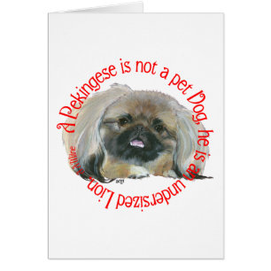 Pekingese Wisdom - Undersized Lion !