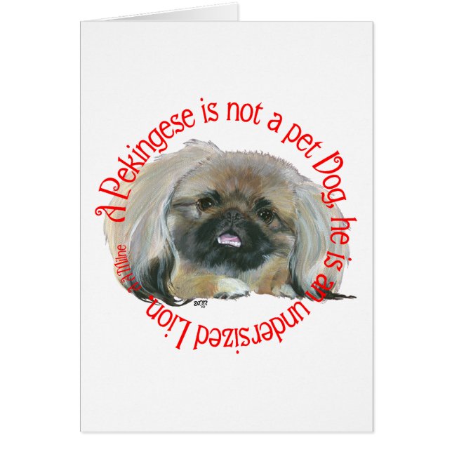 Pekingese Wisdom - Undersized Lion ! (Front)