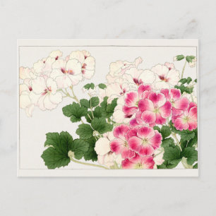 Pelargonium by Tanigami Konan Postcard