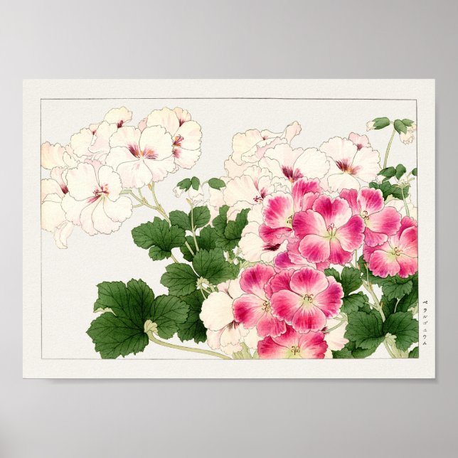 Pelargonium by Tanigami Konan Poster (Front)