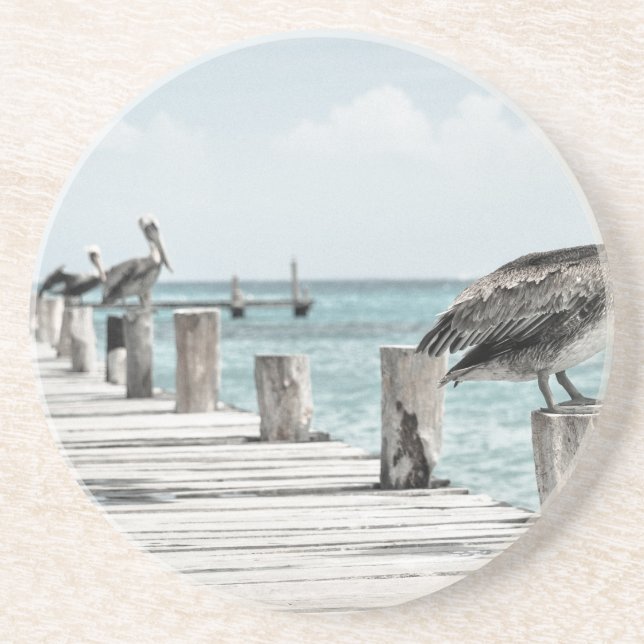 pelican-33 coaster (Front)