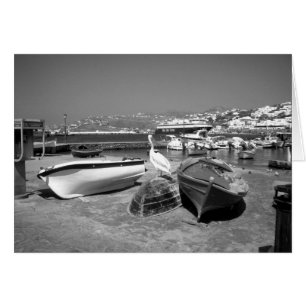 Pelican and Boats (BandW)