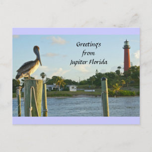Pelican and Lighthouse Postcard