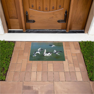 Pelican And The  Gate Crashers,  Doormat