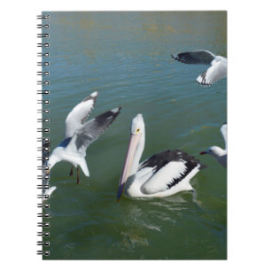 Pelican And The Gate Crashers, Notebook
