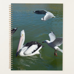 Pelican And The  Gate Crashers,  Planner