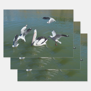 Pelican And The Gate Crashers, Wrapping Paper Sheet