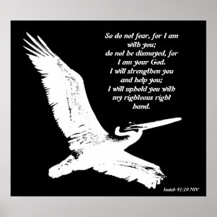 Pelican Art Isaiah 41:10 Print