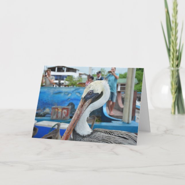 Pelican at the Fish Market, Puerto Ayora Card (Front)