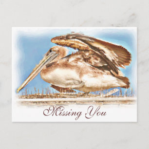 Pelican Awaits_ Postcard