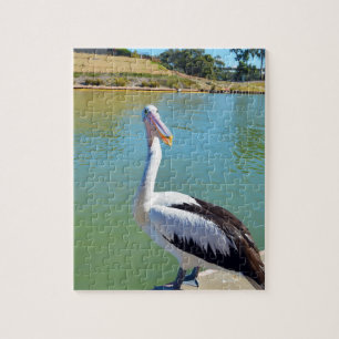 Pelican Back Chat, Jigsaw Puzzle
