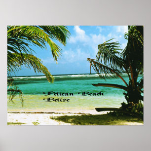 Pelican Beach Belise Poster