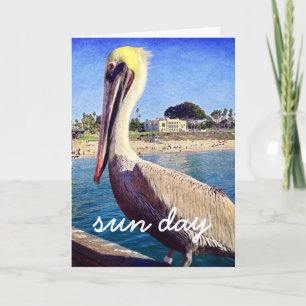 Pelican Beach Bird Photo Sun Day Script Modern Card
