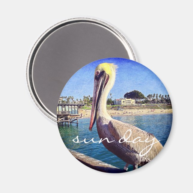 Pelican bird beach pier photo sun day quote magnet (Front/Back)