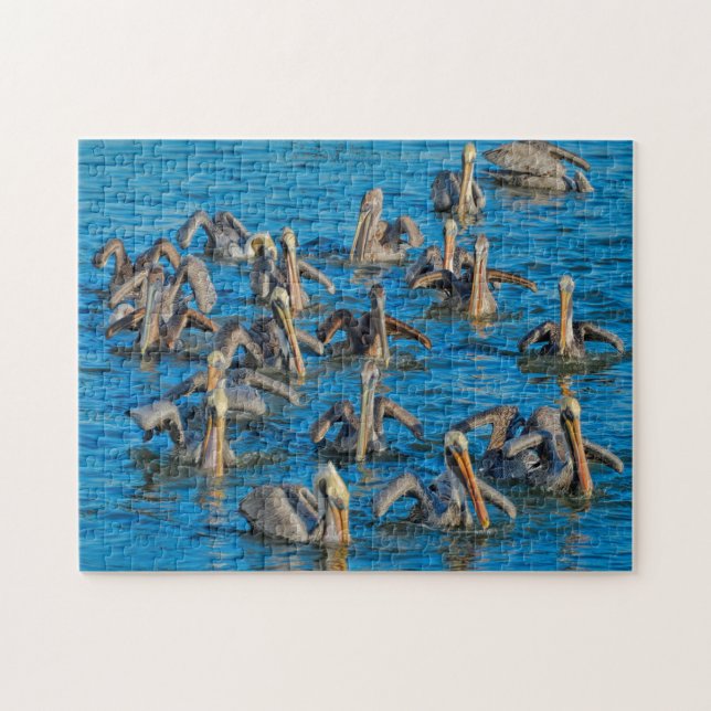 Pelican Bird Florida. Jigsaw Puzzle (Horizontal)