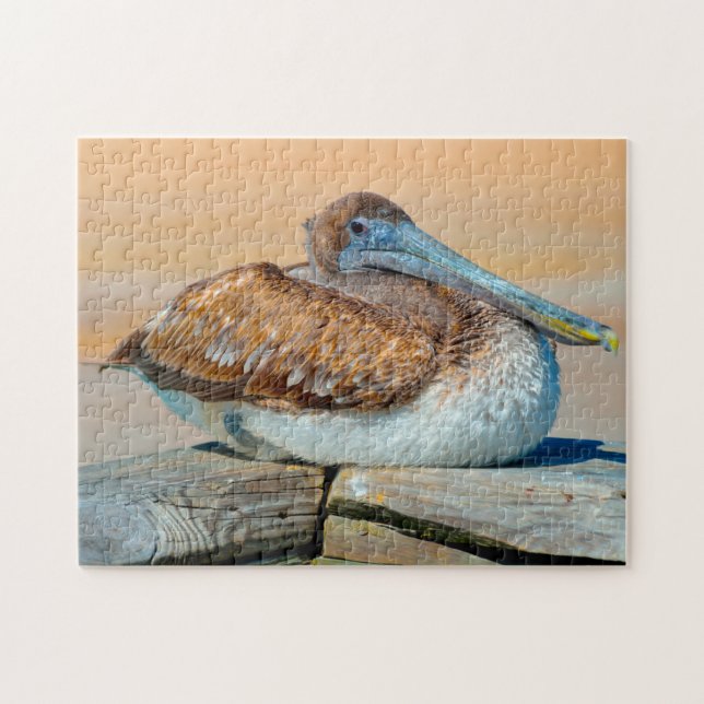 Pelican Bird Florida. Jigsaw Puzzle (Horizontal)